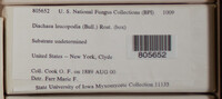 Image Associated With the Occurence